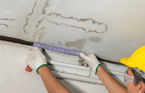 Reliable Water Damage contractor in Lee's Summit, MO by Water Damage Irwin